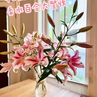 今日小確幸｜家裡的香水百合大豐收💖🌸...