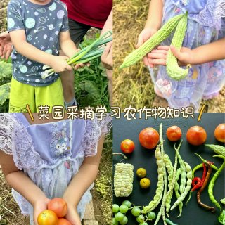 成都🚗半小时直达🫧这家亲子酒店太好遛娃了...