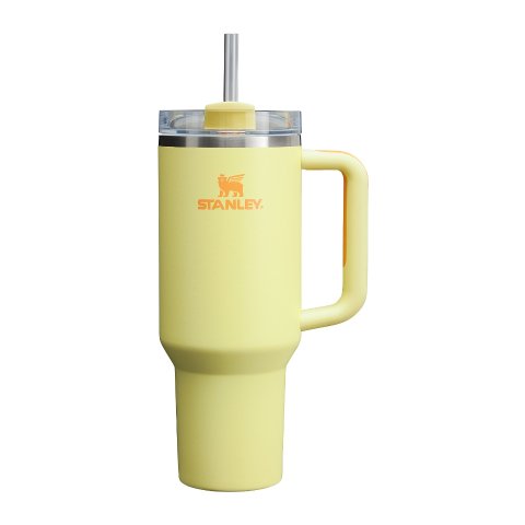 Stanley Quencher 吸管杯 40oz 