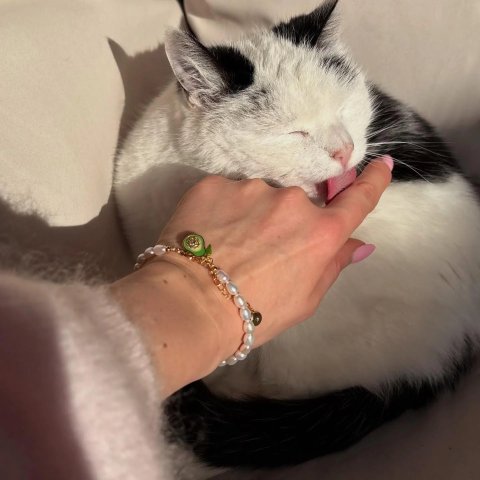 Selenichast 珍珠手链 珐琅牛油果