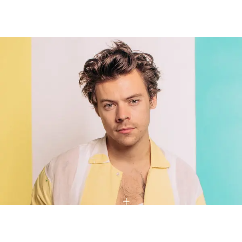 Harry Styles 演唱会 12月12日 悉尼