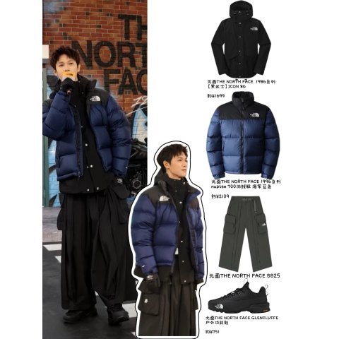 Retro Nuptse 高领夹克 1996款