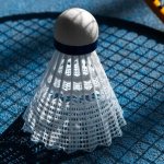 BWF超级500赛「澳洲羽毛球公开赛」6.9日开打！