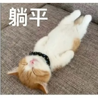 真真在东北