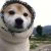 popo蹲蹲折扣