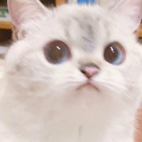 冰镇甜柚三分酸