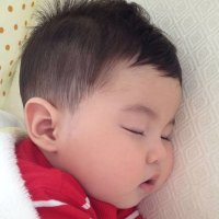 哈呀哈呀鲁呀鲁呀