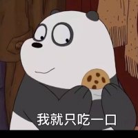 不求上进的波子