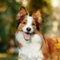 我们不一样不一样