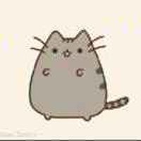 卷毛猫123