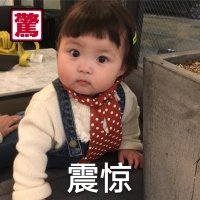 熊个哩个熊