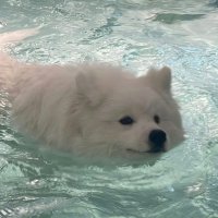 愿快乐常伴