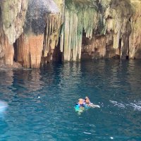 绿油油