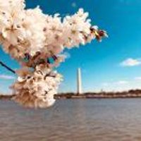 闲人一枚怎么可能