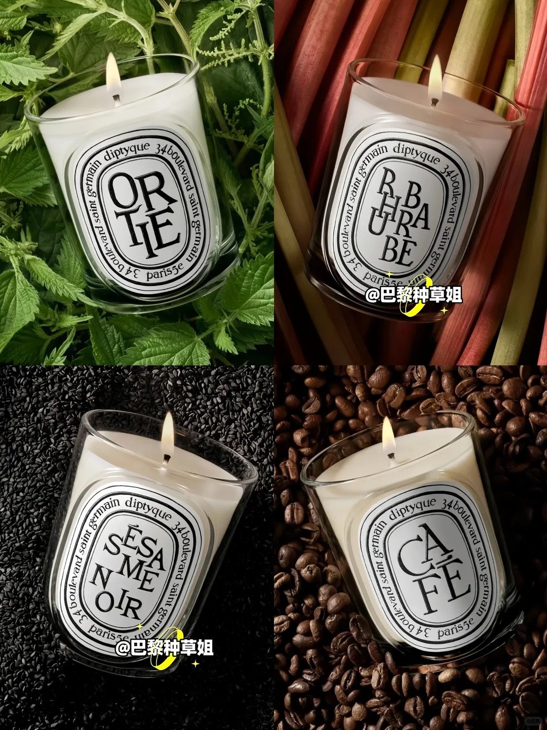 Diptyque 4月新品抢先看！5支新蜡烛登场！_1_巴黎种草姐_来自小红书网页版.jpg