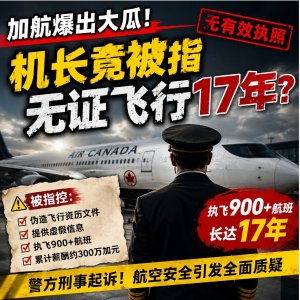 🆘被控伪造飞行资历