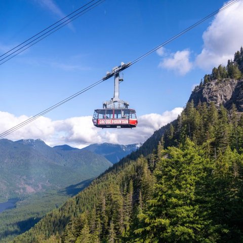 Grouse Mountain 夏季入场券 含市区接驳