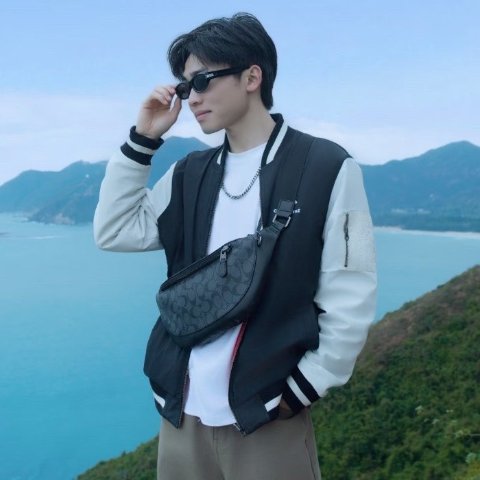 Warren Mini 腰包 经典帆布