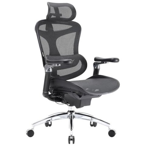 Doro C300 Pro 人体工学椅 6D扶手 黑色