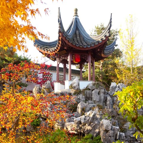 Dr. Sun Yat-Sen 园门票含讲解