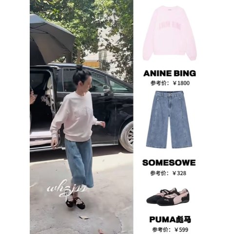 ANINE BING Spencer 棉质卫衣