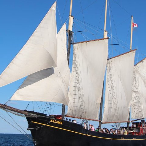 EventGo Tall Ship 船票