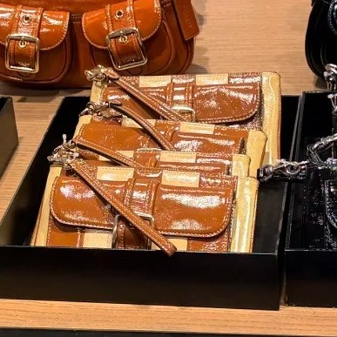 COACH Ashton 拼接条纹手拿包