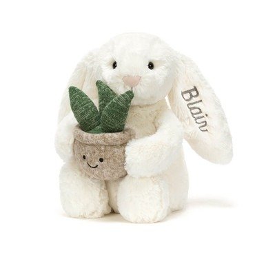 Bunny 植物定制兔子