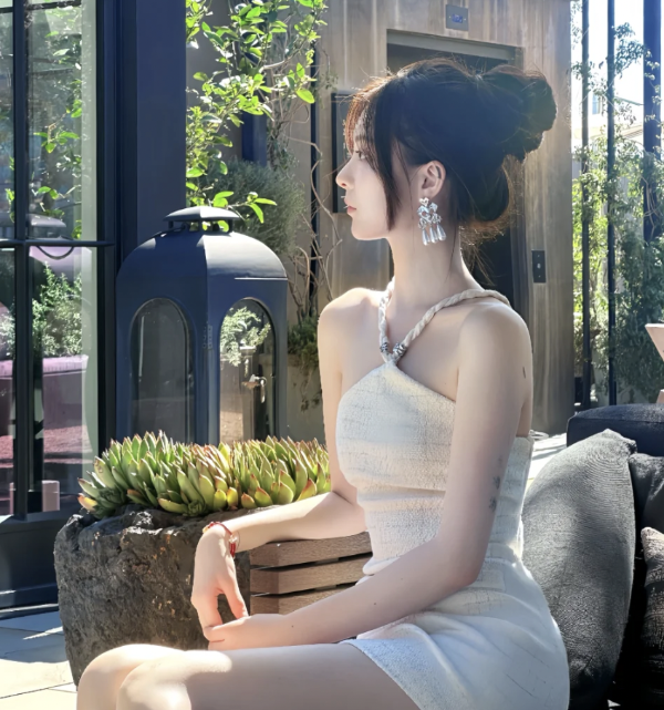Embellished 金属棉混纺粗花呢连衣裙