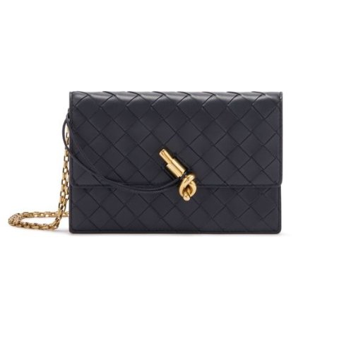Bottega VenetaAndiamo 链条包