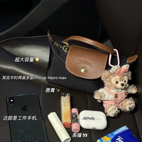 LongchampLe Pliage 拉链托特包