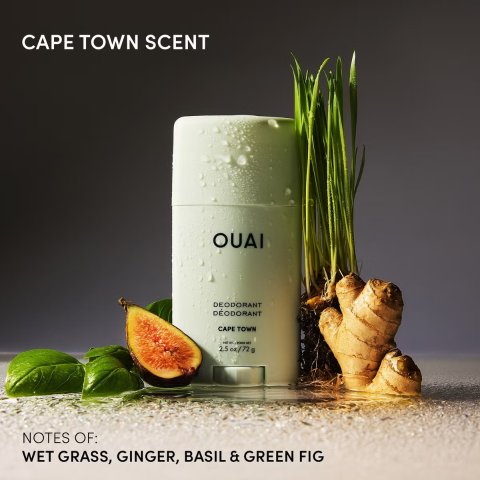 除臭剂 Cape Town 72g