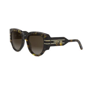Dior Signature R2I 墨镜