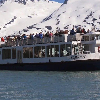 Glacier and Wildlife Explorer Tour for One or Two from Alaska's Finest Tours & Cruises (46% Off)