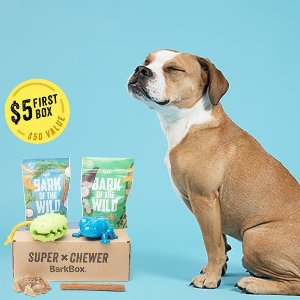 Extended: National Dog Day Special Offer @ Super Chewer by BarkBox