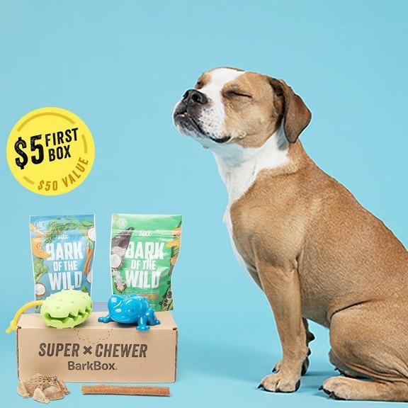 National Dog Day Special Offer @ Super Chewer by BarkBox