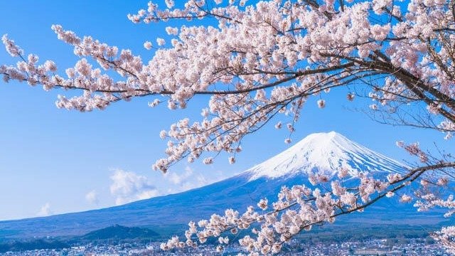 日本自由行如何办理旅游签证?日本签证简直不要太简单