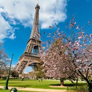 6/7 - Day Paris and Rome Vacation