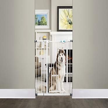 Carlson Pet Products Extra Tall Walk-Thru Pet Gate with Door, 39"-38.5" W x 36" L | Petco
