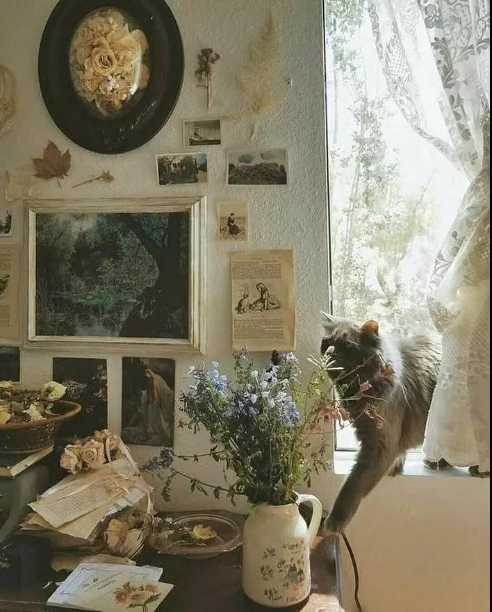 WeChat Image_20190926112924
