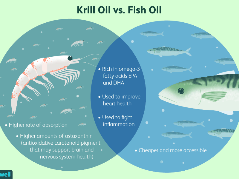 krill-oil-what-should-i-know-about-it-89571-01-e48a678373bf4d6eb141069c435bf544