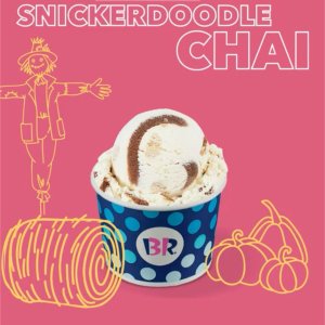 New Release: Baskin Robbins October flavor Snickerdoodle Chai