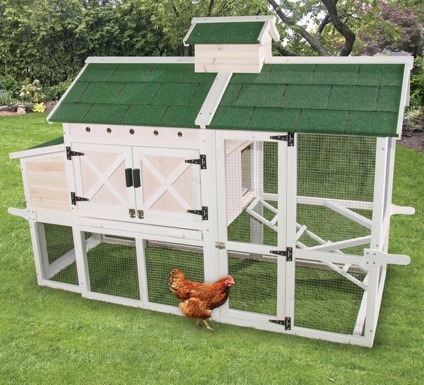 WARE Chateau Chicken Coop - Chewy.com