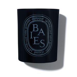 Diptyque 浆果 蜡烛300G