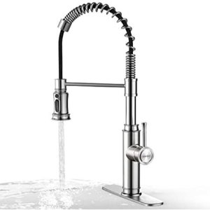 WaterSong Spring Kitchen Sink Faucet
