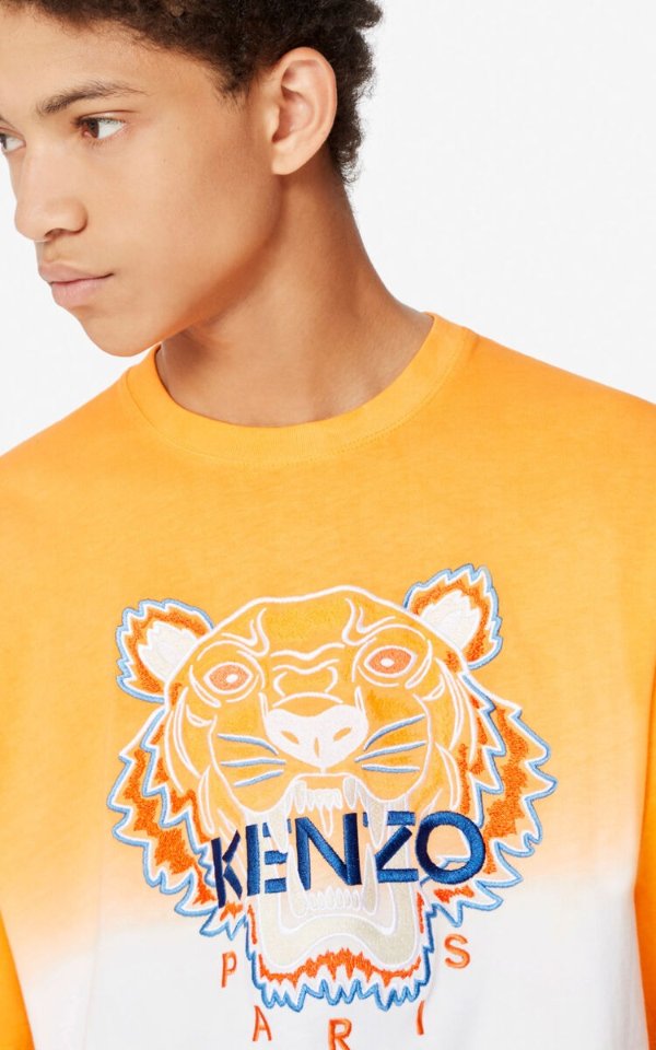 Tiger gradient t-shirt