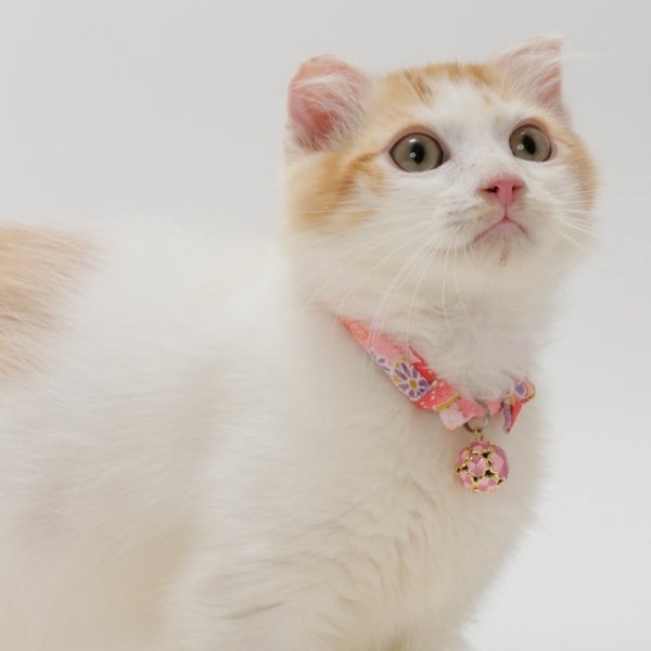 Chirimen Clover Bell Cat Collar, Pastel Pink - Chewy.com