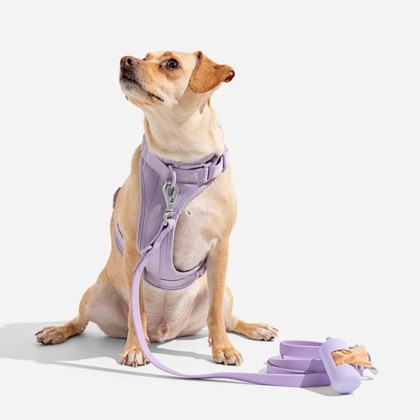Lilac Dog Harness, Medium | Petco
