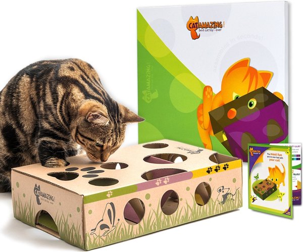 Interactive Treat Maze & Puzzle Cat Toy - Chewy.com