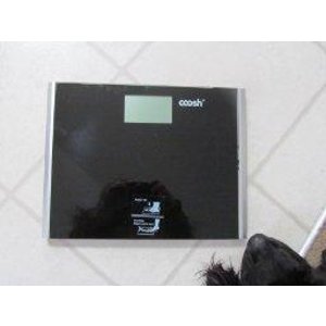 Coosh CBS001B Precision Digital Bathroom Scale with Enlarged LCD and Comfort Plus Platform, 440lb Capacity